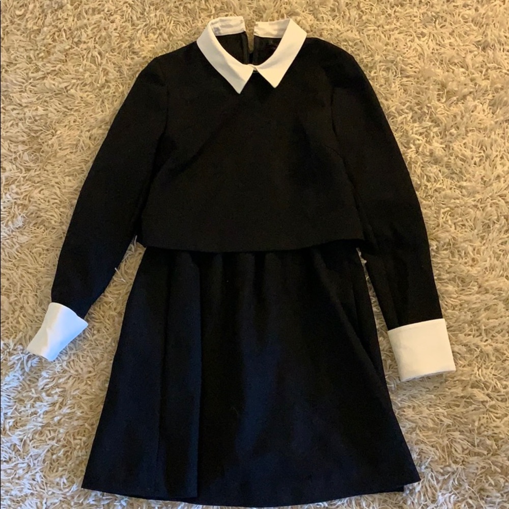 Rachel Zoe Black Dress with Collar
